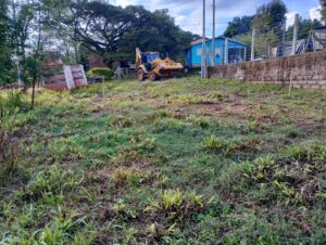 ae038282-20e7-4a4c-b6f4-2918b9b1ee24