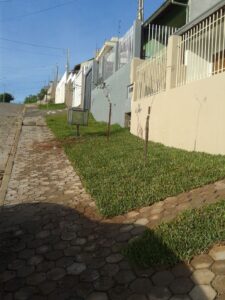 bc4cc7c4-20c3-4e0f-a2ef-6890a0aa67fc