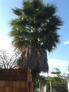 feda230a-54ba-4238-ad1d-2abb6ceeb483